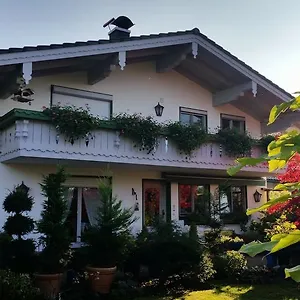 Nussdorfer Gastehaus Penzion